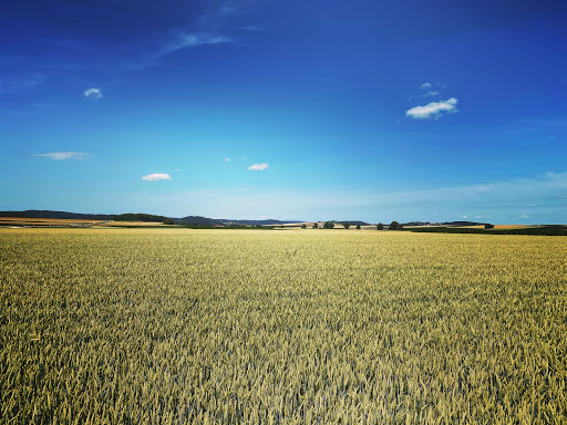 Merzingen - Visual