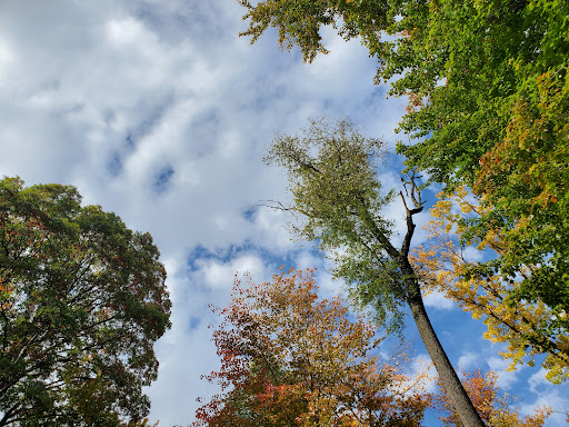 Strawberry Acres Park - Thumbnail