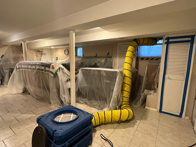 Green Guard Mold Remediation Plainfield photo