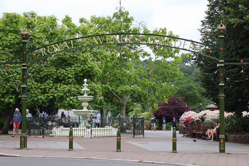Royal Avenue Gardens Logo