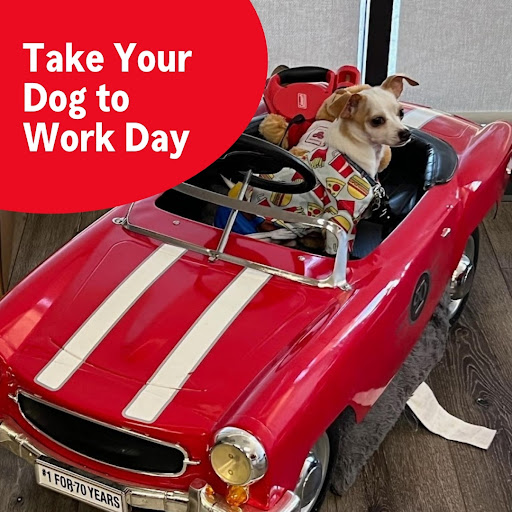 Barri Lynn Hollander - State Farm Insurance Agent - Thumbnail