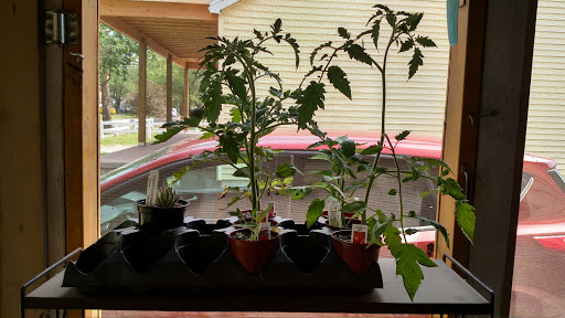 Stone Creek Nursery - Thumbnail