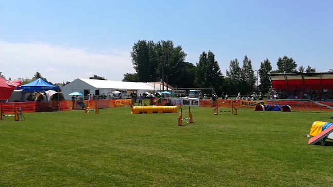 Győrzámolyi focipálya