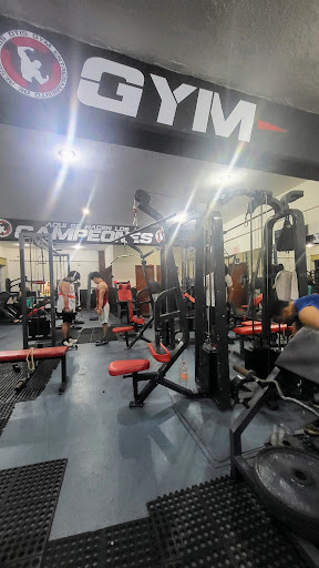 OTI'S/GYM - Visual