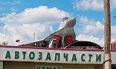 Фотография Центральная Районная Больница Пермского Муниципального Района, шоссе Космонавтов, Пермь, Россия