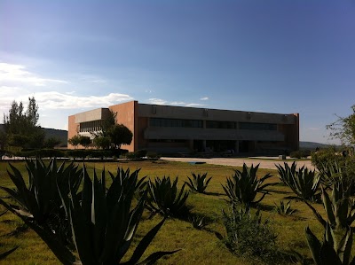 university