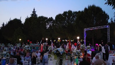 Photos of Holiday Inn Bursa Hotel