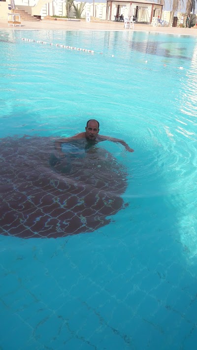 Photos of Al Knary Resort