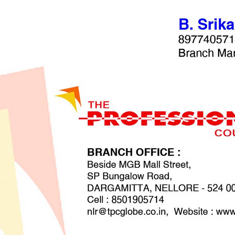 The Professional Couriers Courier Service in Nellore