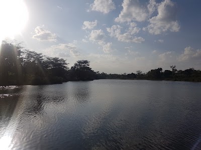 Photos of Tatu City Headquarters