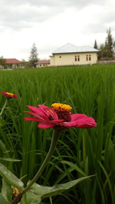 mosque
