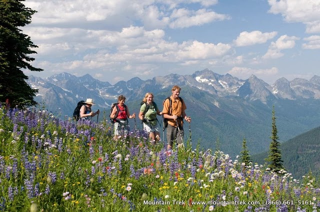 Mountain Trek Fitness Retreats & Health Spa