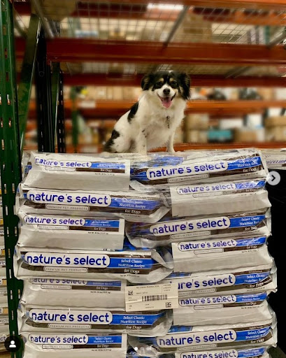 Nature's Select of the Carolinas - Buypetfood.com - Thumbnail