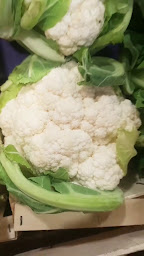 Photo n°22 de La Guinguette Bio à Nogent-sur-Marne (Marché alimentaire)