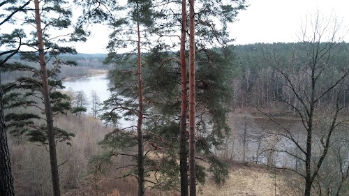 Šilėnų Švč. Mergelės Marijos bažnyčia