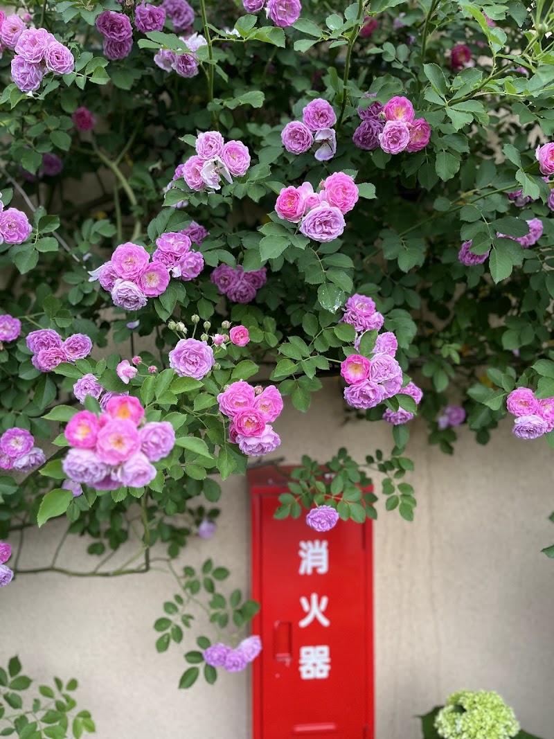 O'popo Home竜宮店