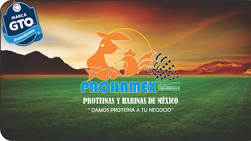 PROHAMEX - Thumbnail