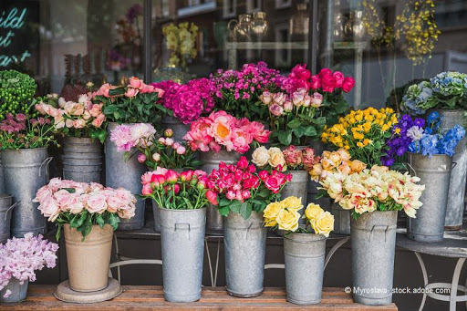 Blumen Möbius - Visual
