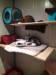 Photo n°8 de Les Gali'Pets à Roannes-Saint-Mary (Service de garde d'animaux)