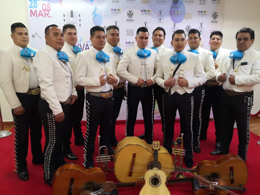 Mariachis en Toluca, Mariachi Son De Mi Tierra