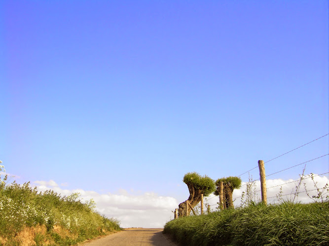 Klassischer Klavierunterricht im Raum Aachen: Klavierstudio Sonus Classicus photo