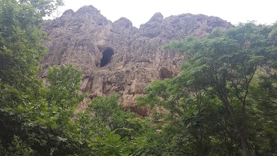 Photos of Forest Park Tandooreh