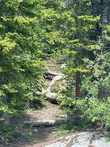 Willow Creek falls - Thumbnail