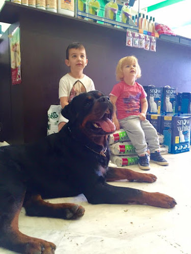 Comentarii opinii despre ΣΧΟΛΗ ΕΚΠΑΙΔΕΥΣΗΣ ΣΚΥΛΩΝ - ΠΑΡΚΟ ( dogtopia.gr ) DOG TRAINING CENTER - PARK