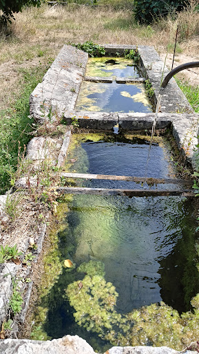 Fontanile - Visual