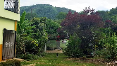 Photos of Hostal Polo