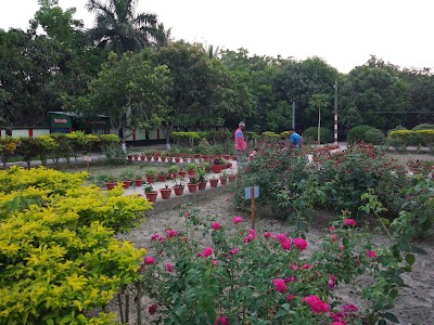 park