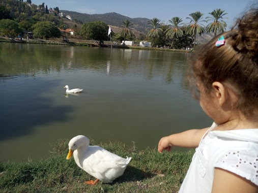 Fishing-Park - דג בכפר, Author: A.A Yafit Real Estate Agency