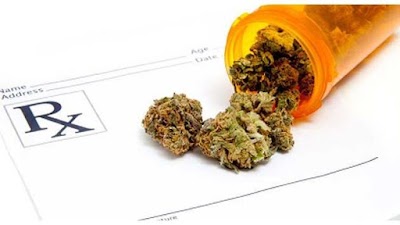 Alternative Medical Care - Medical Marijuana Doctor