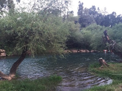 Photos of טיולי ג'יפים 0502232798