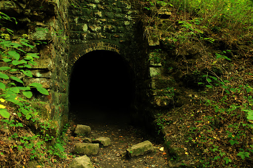 Pocket Wilderness - Thumbnail