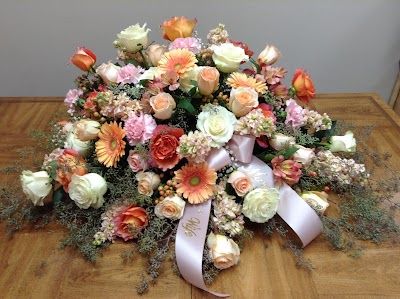 Photos of Queen Anne's Lace Flowers & Gifts