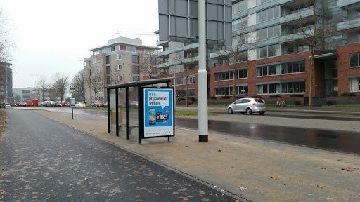 Alphen a/d Rijn, Molenvliet