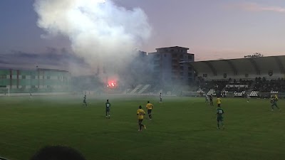 Stadiumi Loni Papuciu