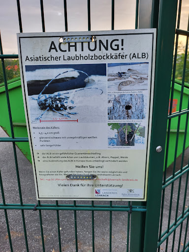 Grenzach-Wyhlen - Thumbnail