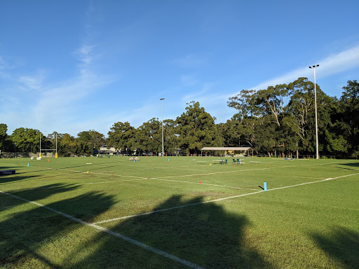 Winston Hills Tigers Junior Rugby League Club - Thumbnail
