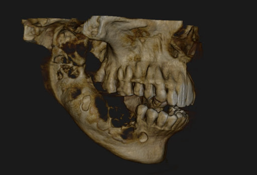 Gallery image 6