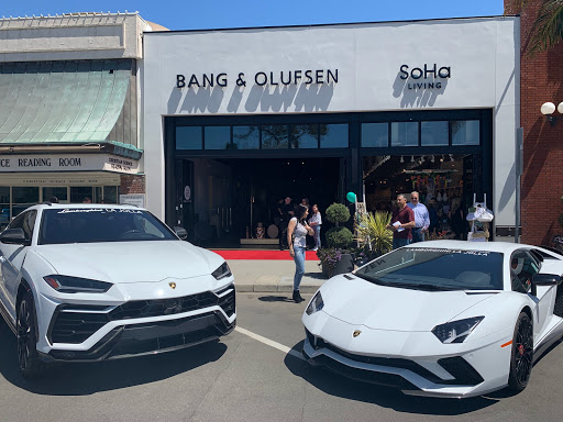 Bang & Olufsen La Jolla