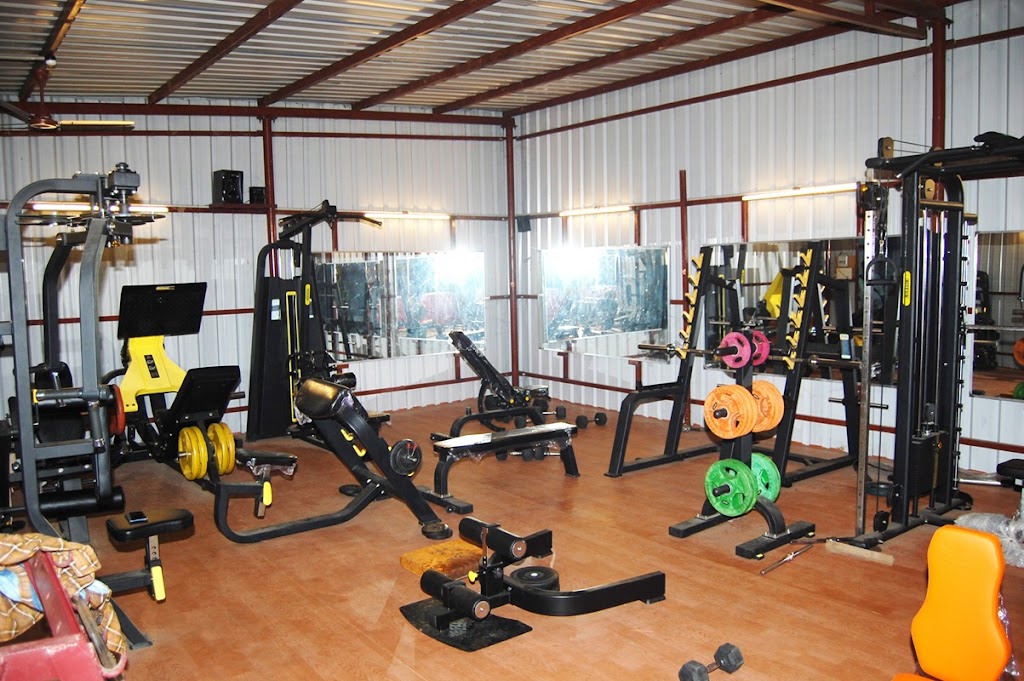 Kung Fu Gym And Fitness