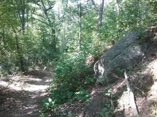 Myklebust Lake State Natural Area - Thumbnail