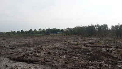 Photos of Tempat Wisata Pesona Alam Lestari