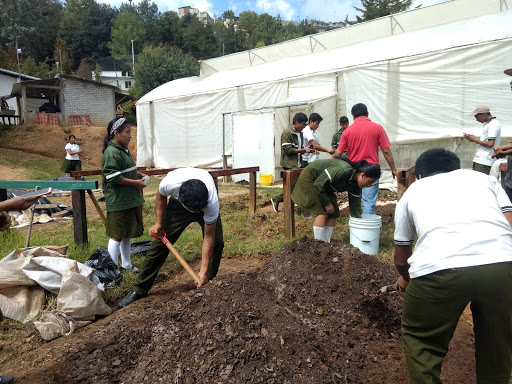 CBTA 192 - Visual
