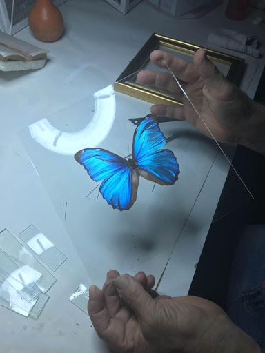 Museo Di Storia Naturale "Bios Taras" - Thumbnail