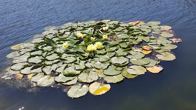 Photos of Arroyo Trabuco Golf Club&lrm;