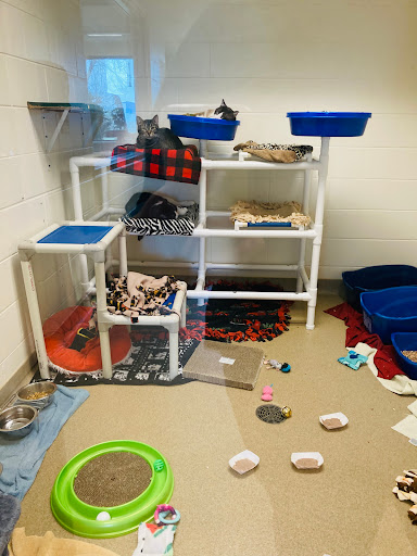 Humane Society Of Portage County Inc - Thumbnail