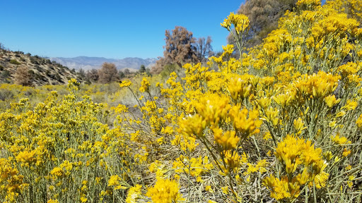 Walker Pass Campground - Thumbnail